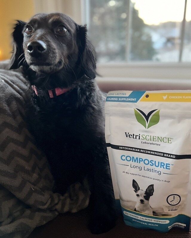 VetriScience-Composure-Winnie